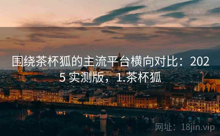 围绕茶杯狐的主流平台横向对比：2025 实测版，1.茶杯狐