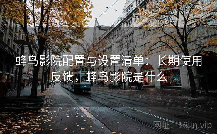 蜂鸟影院配置与设置清单:长期使用反馈,蜂鸟影院是什么 蜂鸟影院配置与设置清单:长期使用反馈,蜂鸟影院是什么